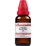 Dr. Willmar Schwabe India Crataegus Oxyacantha Mother Tincture Q - 1X - (30 ml)
